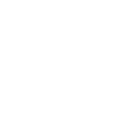 GitHub source icon