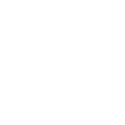 Matrix network icon