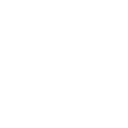 Bluesky butterfly icon